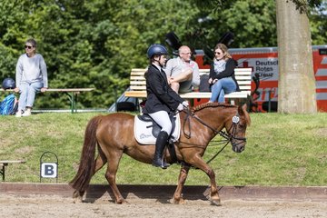 Bild 255 - Pony Akademie Turnier